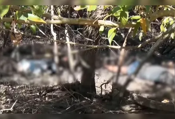 Corpos foram encontrados em uma área de mata e mangue