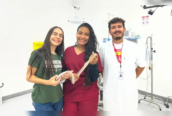 Helena Pandolfi (de verde), Tiffany Oliveira e Gabriel Uzai