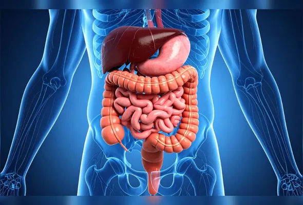 Imagem ilustrativa da imagem Refluxo gastroesofágico tem cura?