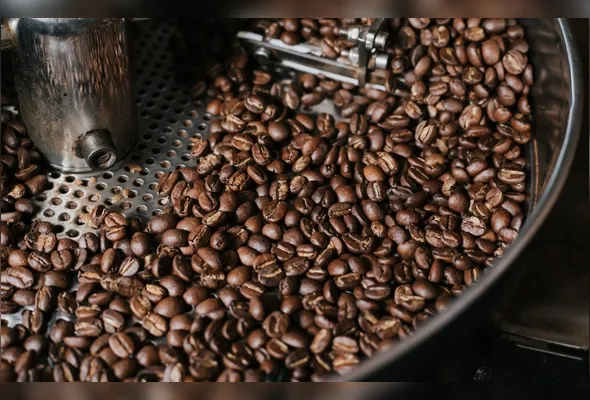 Concurso Conilon de Excelência 2026 vai premiar os melhores cafés produzidos pelos cooperados da Cooabriel