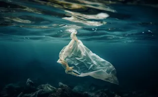 Imagem ilustrativa da imagem Estamos comendo plástico sem perceber?