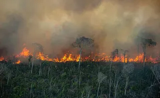 Imagem ilustrativa da imagem Ibama aplica R$ 2 milhões em multas por incêndios ilegais na Amazônia