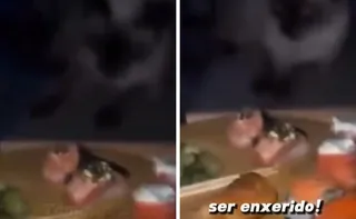 Imagem ilustrativa da imagem VÍDEO: influenciadora capixaba dá tapa em gato e é multada em Vila Velha