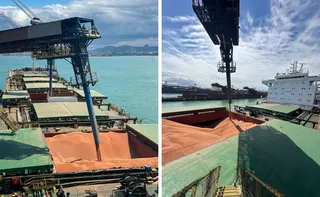 Imagem ilustrativa da imagem VLI inicia exportação de sorgo pelo ES com 160 mil toneladas para a China