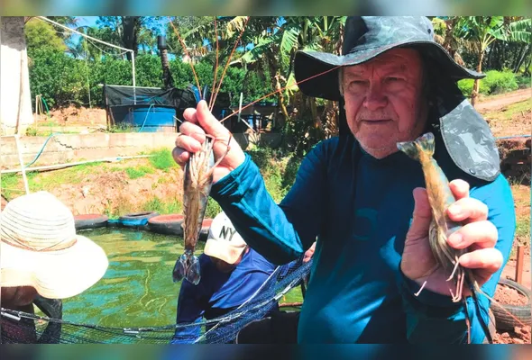 José Luiz Helmer tem 80 anos e conta que a espécie pode chegar a cerca de 35 cm e pesar até 500 gramas