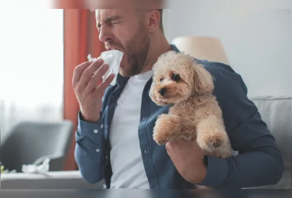 Tutor alérgico com cão doméstico no colo: pesquisa abre uma esperança