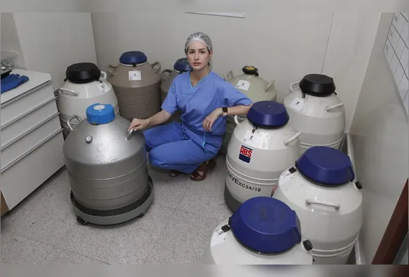 Cindy White, especialista em Reprodução Humana, explica que os embriões ficam armazenados em tanques com nitrogênio líquido, em uma temperatura de -196ºC