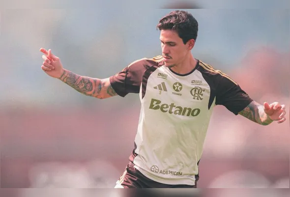 Pedro é uma das apostas de gols do Flamengo no jogo deste domingo em Belém