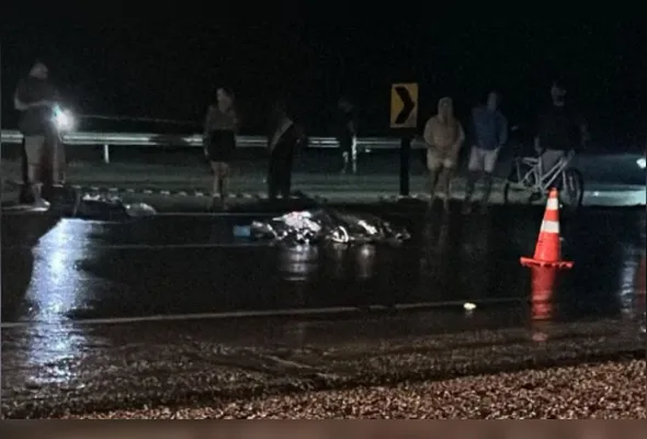 Homem de 80 anos morreu após ser atropelado na BR-101 em Anchieta