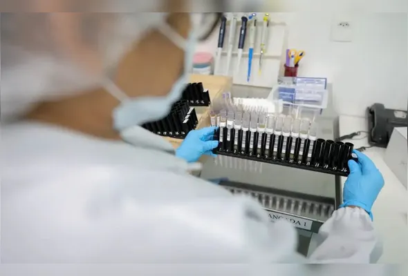 Imagem ilustrativa da imagem Malária: Anvisa autoriza teste em humanos de vacina 100% brasileira