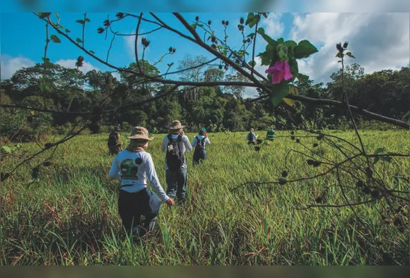 Pesquisadores procuram fungos, bactérias e outros microrganismos que são pouco conhecidos pela ciência