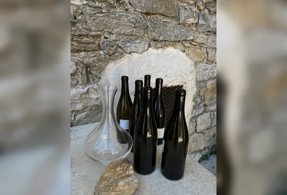 Imagem ilustrativa da imagem Por que é preciso deixar o vinho respirar antes de beber?