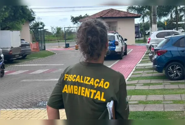 Resgate foi realizado pela Fiscalização Ambiental e do Departamento de Bem-Estar Animal
