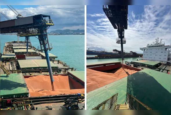 Imagem ilustrativa da imagem VLI inicia exportação de sorgo pelo ES com 160 mil toneladas para a China