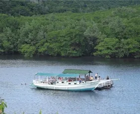 Imagem ilustrativa da imagem Passeios em Aracruz para conhecer praias e manguezal