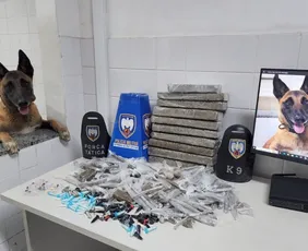 Imagem ilustrativa da imagem Cão da PM ajuda a encontrar grande quantidade de drogas em Taquara I