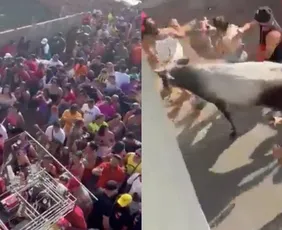 Imagem ilustrativa da imagem VÍDEO | Vaca assustada invade carnaval de rua e deixa três feridos