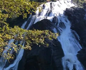 Imagem ilustrativa da imagem Com 144 metros, Cachoeira da Fumaça em Alegre é a maior do ES