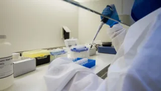 Imagem ilustrativa da imagem Secretaria Estadual de Saúde começa a testagem para Febre do Oropouche