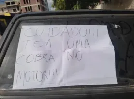 Imagem ilustrativa da imagem Mulher deixa recado para dono de carro após ver cobra entrar em motor de veículo