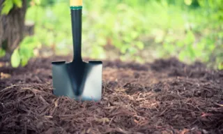 Imagem ilustrativa da imagem Mulher que teria aberto cova para enterrar ex é encontrada morta perto do local