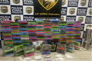 Imagem ilustrativa da imagem Polícia Civil de Pernambuco apreende quase 300 quilos de cocaína em Serra Talhada