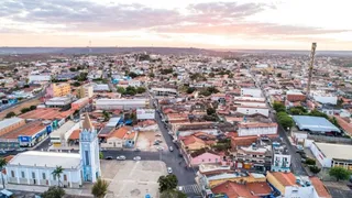 Imagem ilustrativa da imagem Idoso de 79 anos morre no Sertão após ser atacado por vaca que defendia bezerro