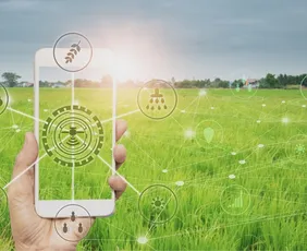 Imagem ilustrativa da imagem Agrishow e o agro do futuro: onde inovação e gente andam lado a lado