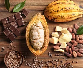 Imagem ilustrativa da imagem Onde nasce o chocolate que emociona