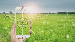 Imagem ilustrativa da imagem Agrishow e o agro do futuro: onde inovação e gente andam lado a lado