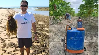 Imagem ilustrativa da imagem Aposta em fertilizante feito à base de algas