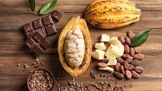Imagem ilustrativa da imagem Onde nasce o chocolate que emociona