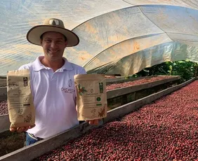 Imagem ilustrativa da imagem Café mais valioso no Brasil melhora salário e atrai investimento