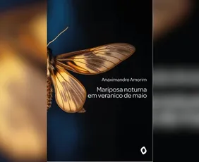 Imagem ilustrativa da imagem Sorteio do novo livro de capixaba para assinantes