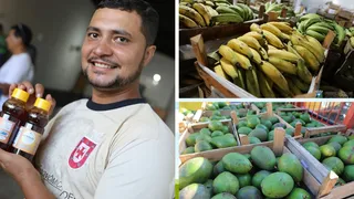 Imagem ilustrativa da imagem Cooperativa de Cariacica fortalece agricultura familiar e gera renda no campo