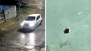 Imagem ilustrativa da imagem Criminosos se passam por policiais e atiram contra casa em Cariacica