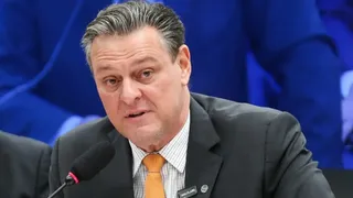 Imagem ilustrativa da imagem Gripe aviária não deve impactar preço da carne de frango, diz ministro
