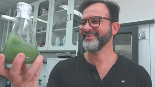 Imagem ilustrativa da imagem Pesquisas no ES revelam uso sustentável de algas contra pragas na lavoura