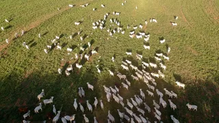 Imagem ilustrativa da imagem Quando o cooperativismo volta pra casa mais forte