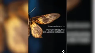 Imagem ilustrativa da imagem Sorteio do novo livro de capixaba para assinantes