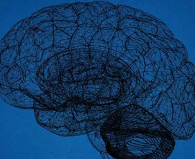 Imagem ilustrativa da imagem Estruturas cerebrais e sinais de psicopatia não têm relação causal direta