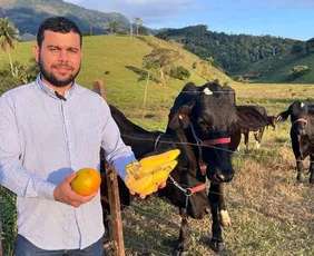 Imagem ilustrativa da imagem Pecuaristas apostam em frutas para alimentar animais após alta no preço da ração