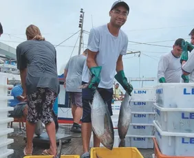 Imagem ilustrativa da imagem Pescadores do ES vão buscar mercado na Ásia e Espanha após tarifaço de Trump
