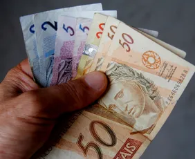 Imagem ilustrativa da imagem Quando o dinheiro cria raízes