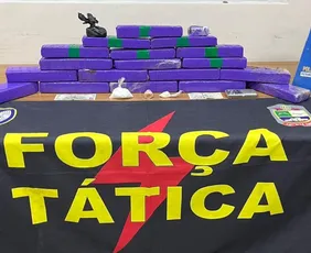 Imagem ilustrativa da imagem Servidor de prefeitura do ES é preso com 12 tabletes de maconha em carro oficial