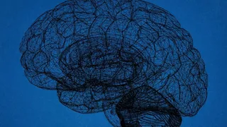 Imagem ilustrativa da imagem Estruturas cerebrais e sinais de psicopatia não têm relação causal direta