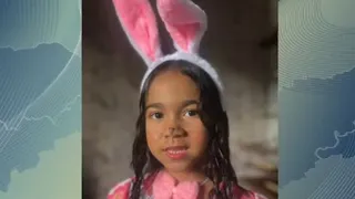 Imagem ilustrativa da imagem Menina de 6 anos baleada em festinha infantil não morreu
