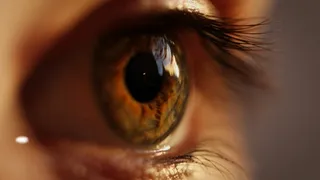 Imagem ilustrativa da imagem Retinóloga explica importância do diagnóstico ocular precoce