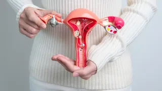 Imagem ilustrativa da imagem SUS vai oferecer novo tipo de DIU até o final do ano