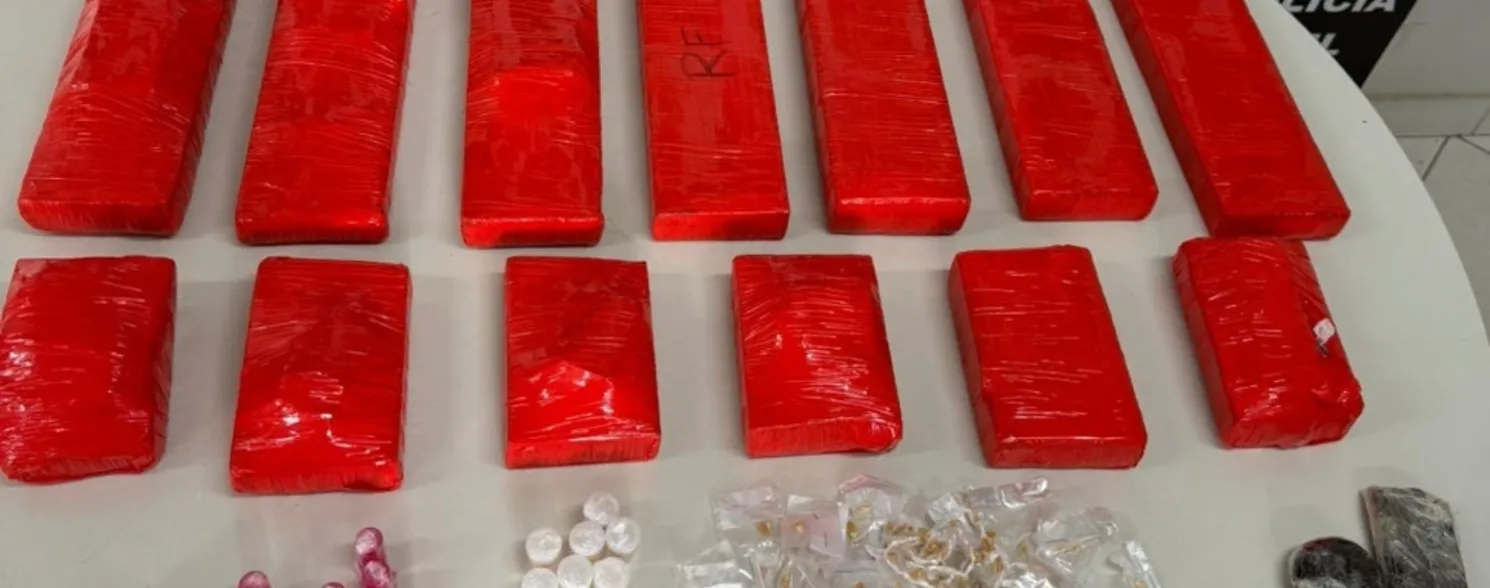 Imagem ilustrativa da imagem Polícia apreende mais de 10 kg de maconha em residência de Castelo